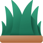 traitement-de-pelouse